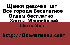 Щенки девочки 4шт - Все города Бесплатное » Отдам бесплатно   . Ханты-Мансийский,Пыть-Ях г.